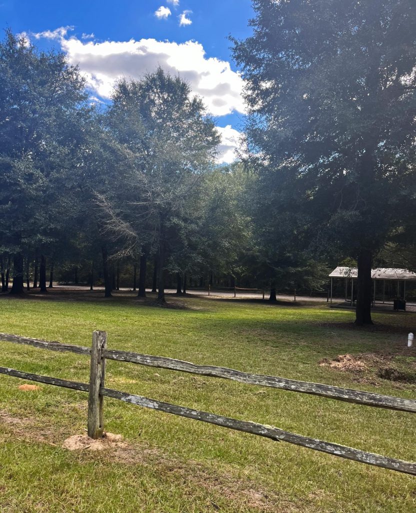river-woods-rv-park-ga-gallery-07
