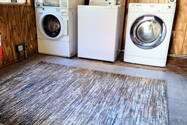 IMG_20250116_134922~2